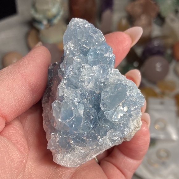 Live - Picture 10 of 15